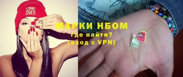 прущий лед Бородино