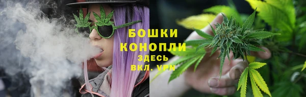 прущий лед Бородино