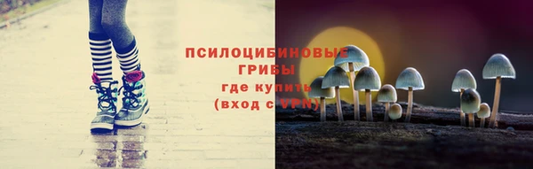 амф Бугульма