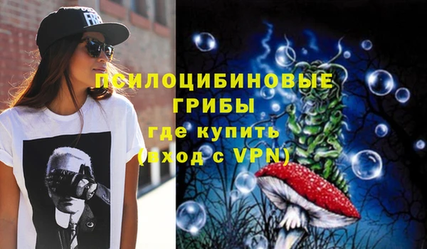 амф Бугульма