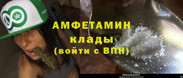 прущий лед Бородино