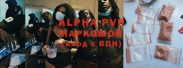 прущий лед Бородино