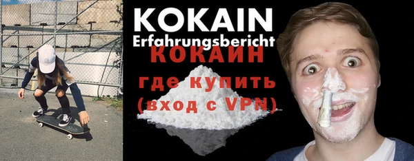 прущий лед Бородино