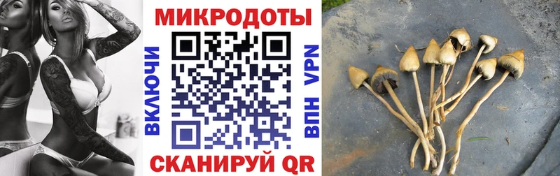 Галлюциногенные грибы Psilocybe  ОМГ ОМГ ССЫЛКА  Нижнекамск 
